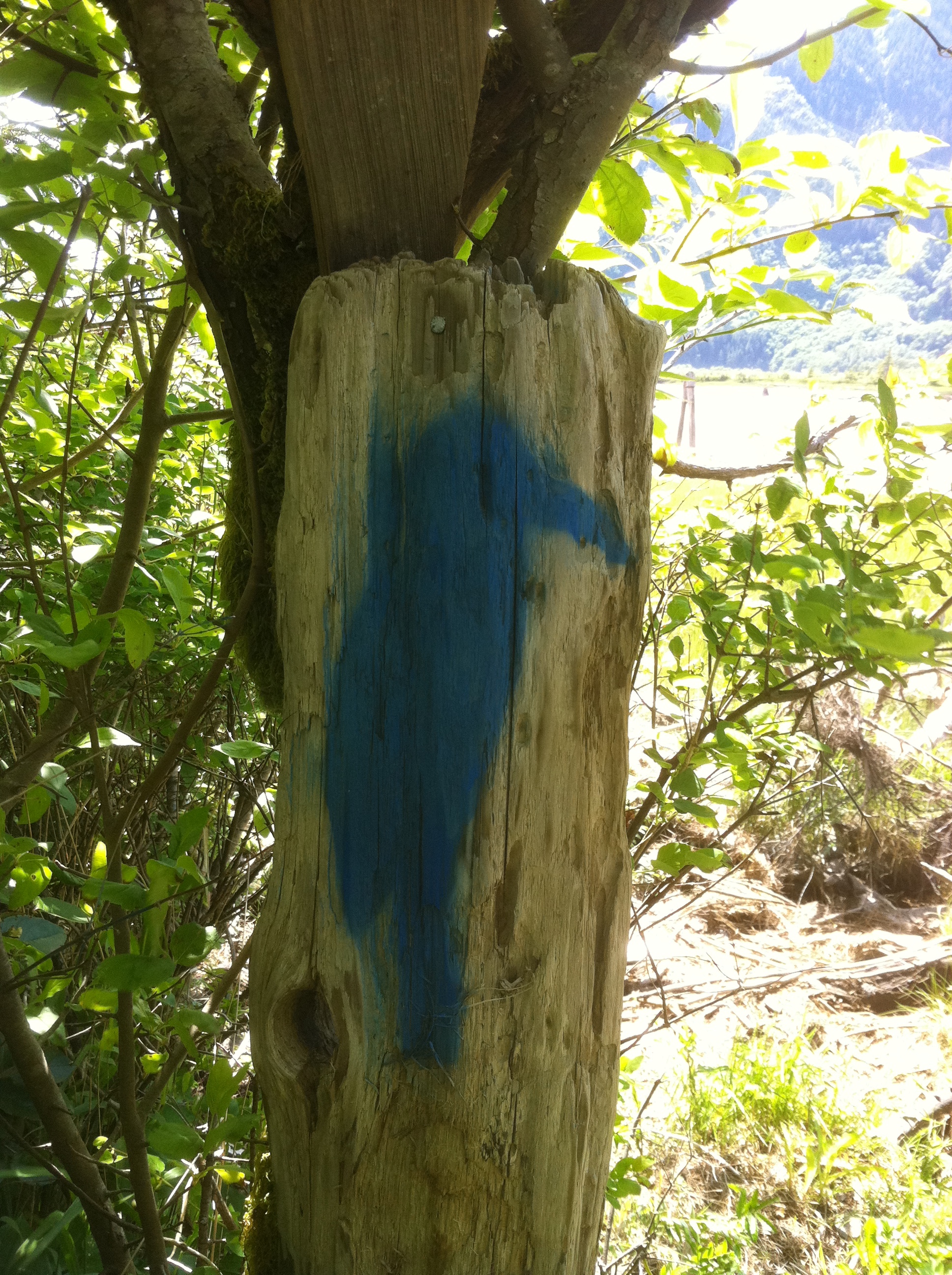 20110605-091006.jpg